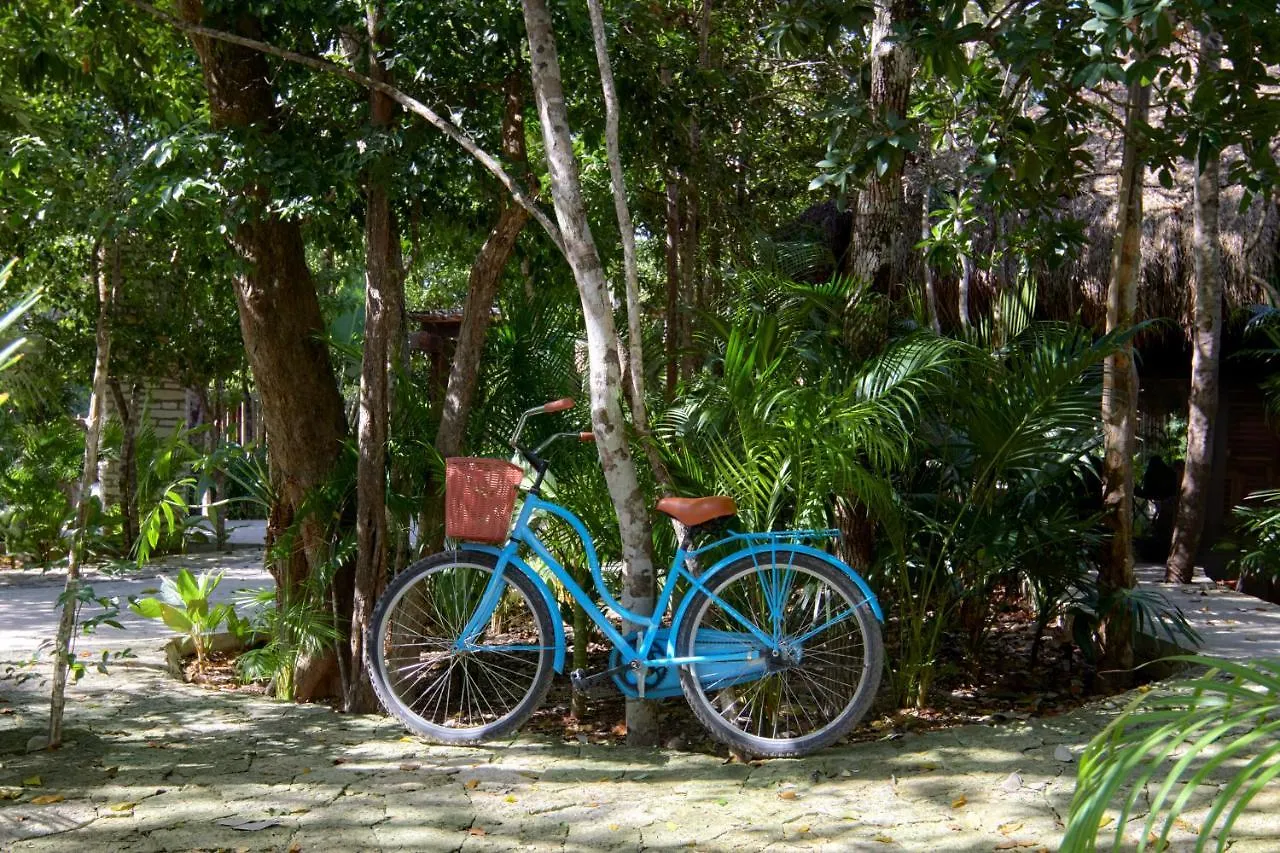 Kimpton Aluna Resort Tulum By Ihg