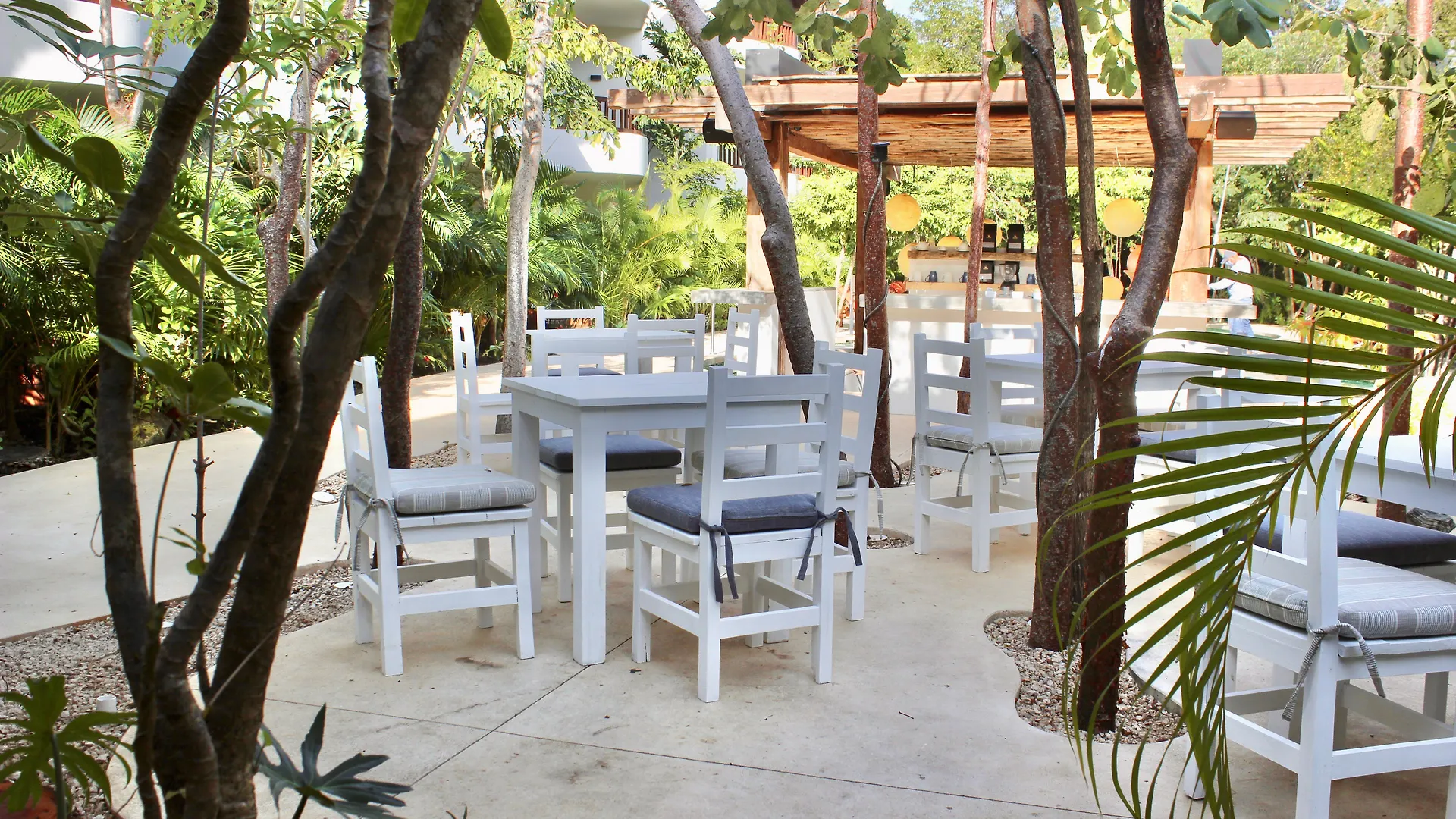 Kimpton Aluna Resort Tulum By Ihg
