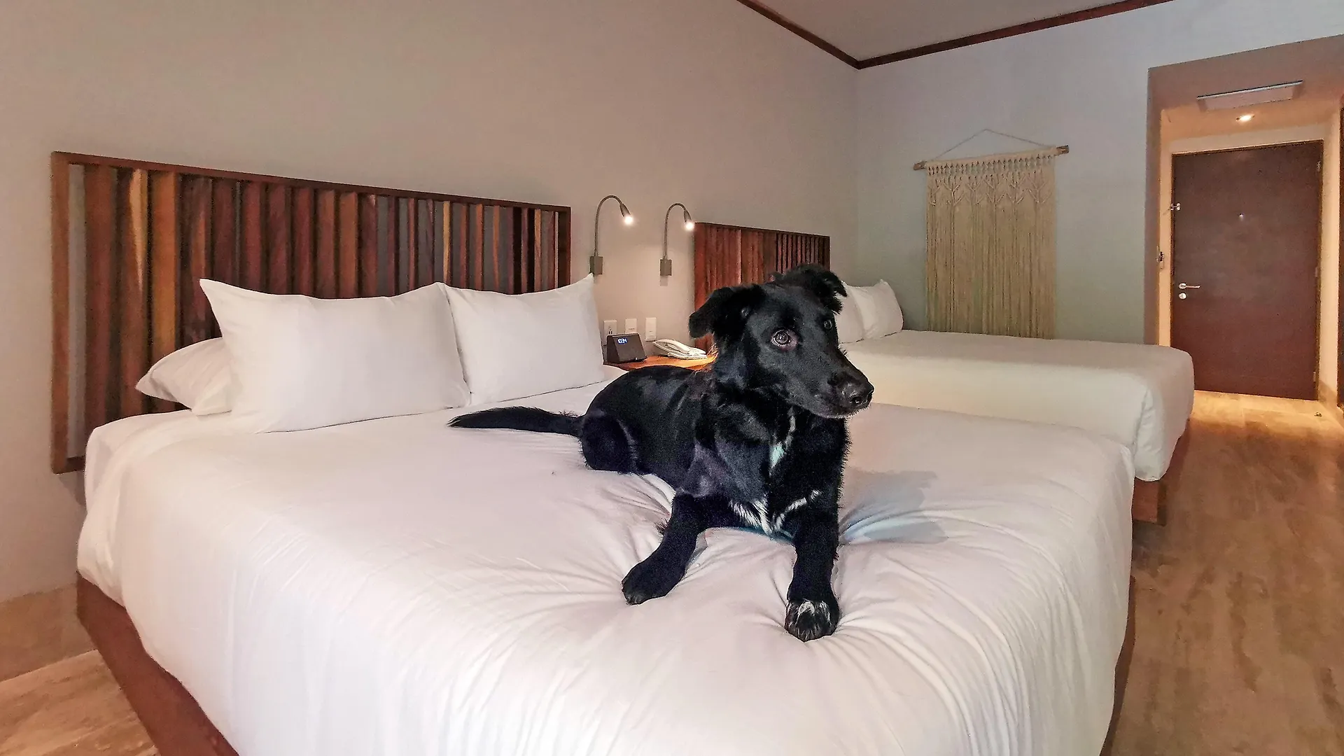 Kimpton Aluna Resort Tulum By Ihg