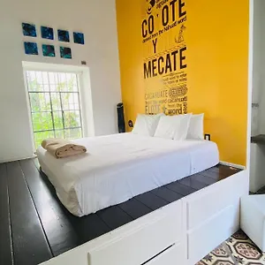 *** Hotel Kuku Ruku México